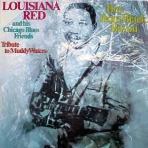 Louisiana Red And His Chicago Blues Friends – Boy From Black Bayou - Tribute To Muddy Waters (GER83)